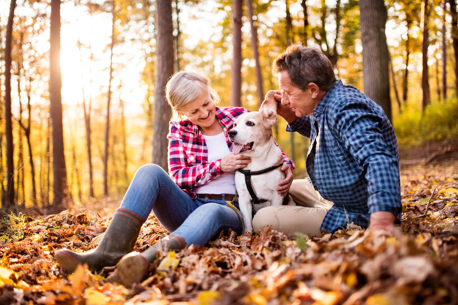 Older Couple and Dog In the Forest
