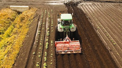 Tractor plow field 